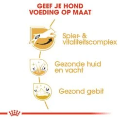 Royal Canin Hondenvoer Jack Russell Adult 7,5 Kg 7 Royal Canin Hondenvoer Jack Russell Adult 7,5 Kg -Pets Care Verkoop royal canin jack russell terrier adult volwassen hond jack russell terrier vanaf 10 maanden hero usp