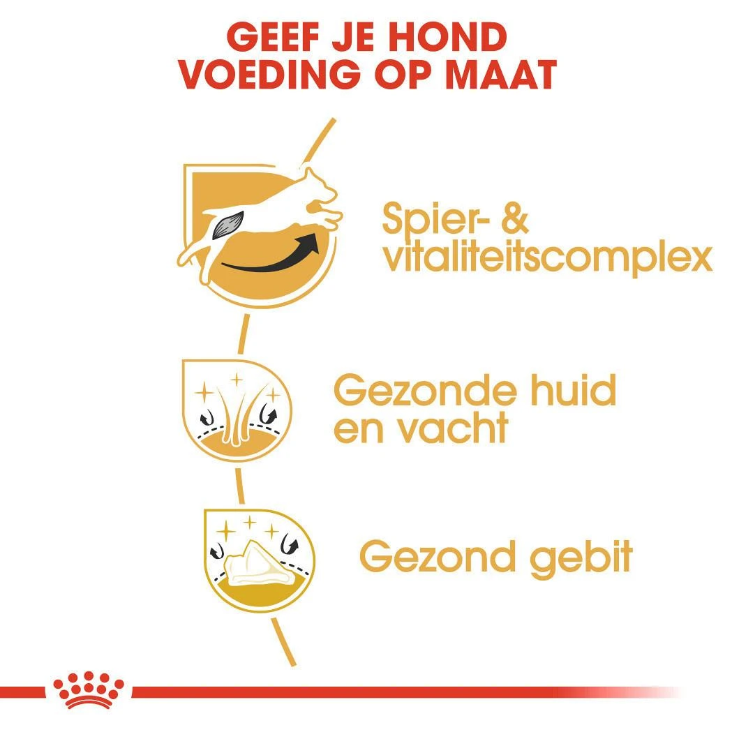 Royal Canin Hondenvoer Jack Russell Adult 7,5 Kg 5 Royal Canin Hondenvoer Jack Russell Adult 7,5 Kg - Image 3