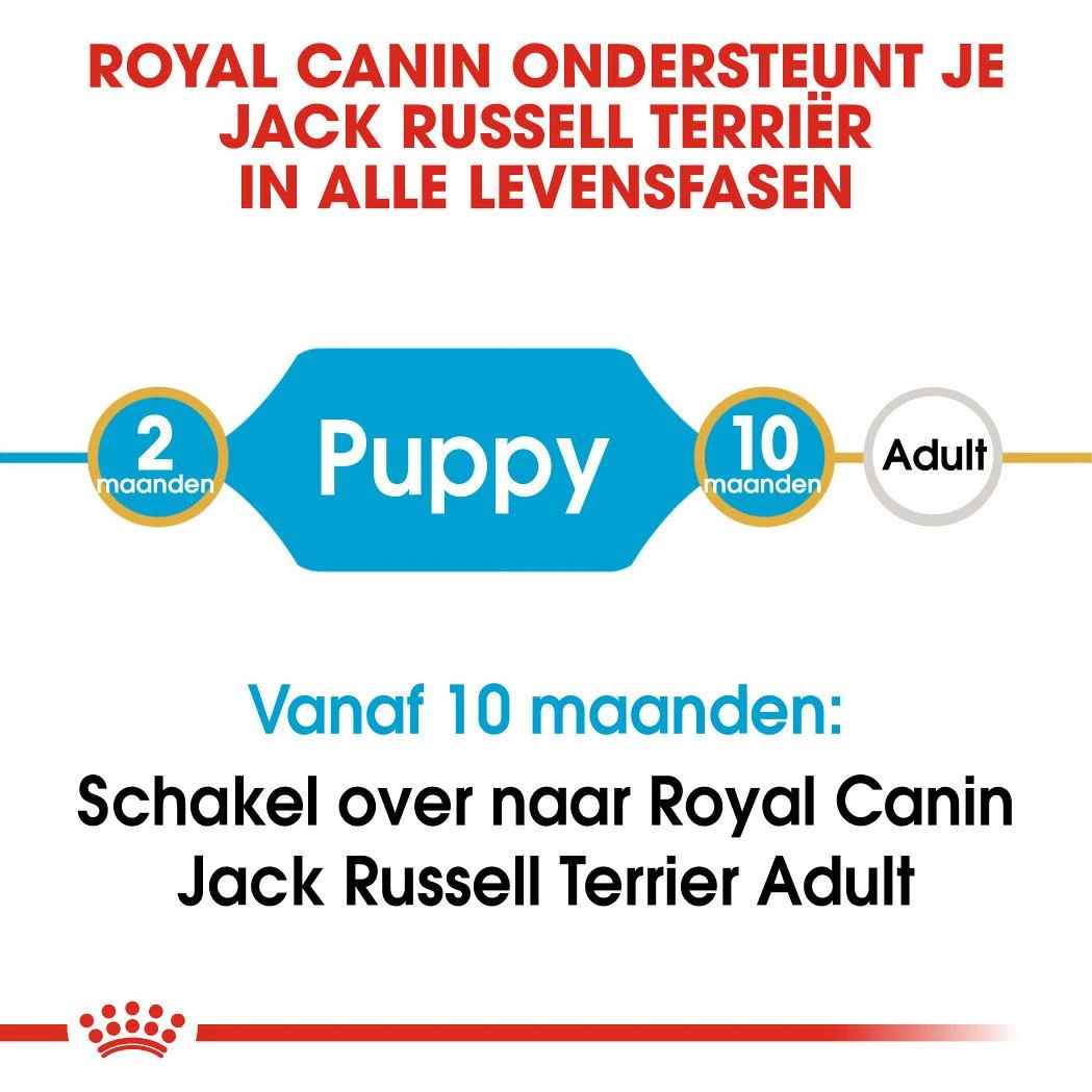 Royal Canin Hondenvoer Jack Russell Puppy 3 Kg 6 Royal Canin Hondenvoer Jack Russell Puppy 3 Kg - Image 4