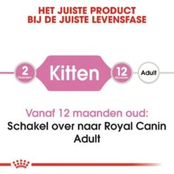 Royal Canin Kattenvoer Kitten 4 Kg -Pets Care Verkoop royal canin kitten kitten kat groeifase hero image 8 1