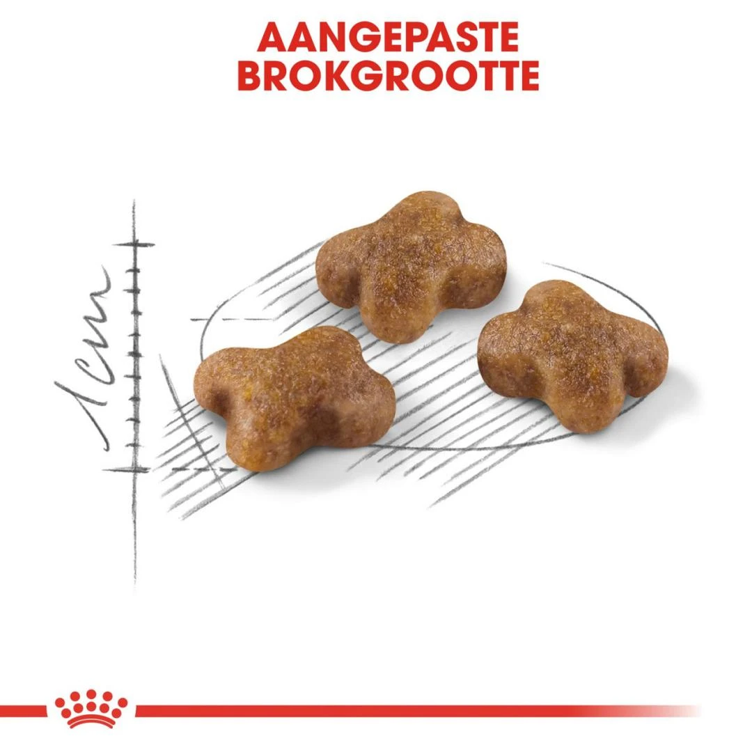 Royal Canin Kattenvoer Kitten 10 Kg 4 Royal Canin Kattenvoer Kitten 10 Kg - Image 2