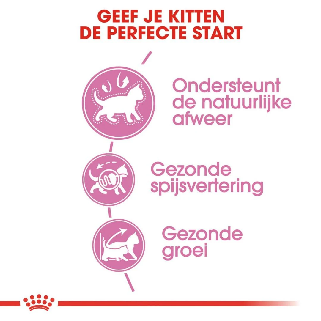 Royal Canin Kattenvoer Kitten 10 Kg 5 Royal Canin Kattenvoer Kitten 10 Kg - Image 3