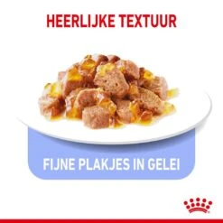 Royal Canin Kattenvoer Ultra Light Jelly 12 X 85 Gr -Pets Care Verkoop royal canin light weight care in jelly volwassen kat preventie overgewicht hero kibble