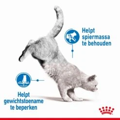 Royal Canin Kattenvoer Ultra Light Jelly 12 X 85 Gr -Pets Care Verkoop royal canin light weight care in jelly volwassen kat preventie overgewicht hero usp