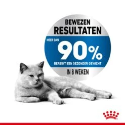 Royal Canin Kattenvoer Light Weight Care 1,5 Kg -Pets Care Verkoop royal canin light weight care volwassen kat preventie overgewicht hero usp