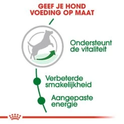 Royal Canin Hondenvoer Mini Adult 8+ 4 Kg -Pets Care Verkoop royal canin mini adult 8plus volwassen hond kleine hondenrassen vanaf 8 jaar hero usp