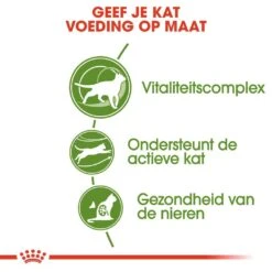 Royal Canin Kattenvoer Outdoor 7+ 4 Kg -Pets Care Verkoop royal canin outdoor 7plus volwassen kat buitenkatten vanaf 7 jaar hero usp