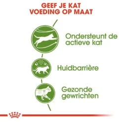 Royal Canin Kattenvoer Outdoor 2 Kg -Pets Care Verkoop royal canin outdoor volwassen kat buitenkatten hero usp