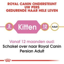 Royal Canin Kattenvoer Persian Kitten 10 Kg -Pets Care Verkoop royal canin persian kitten kitten kat pers hero image 8