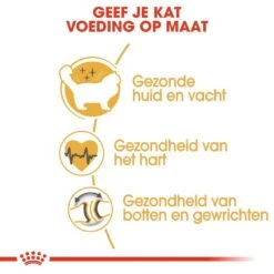 Royal Canin Kattenvoer Ragdoll Adult 2 Kg -Pets Care Verkoop royal canin ragdoll adult volwassen kat ragdoll van 1 tot 12 jaar hero usp