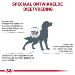Royal Canin Hypoallergenic Moderate Calorie - Hondenvoer - 14kg 13 Royal Canin Hypoallergenic Moderate Calorie - Hondenvoer - 14kg -Pets Care Verkoop royal canin hypoallergenic moderate calorie hond 153403 1000 none
