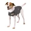 Thundershirt -Pets Care Verkoop thundershirt jackrussel