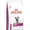 Royal Canin Renal - Kattenvoer - 4kg -Pets Care Verkoop vhn vital support renal cat dry packshot med. res. basic 394218 1